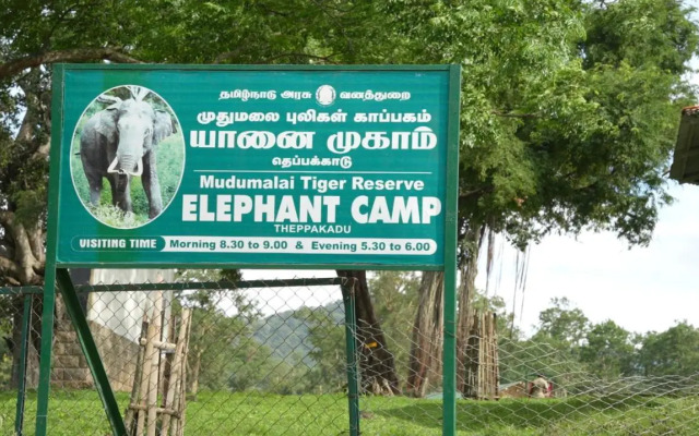 Wild Tusker Masinagudi by LexStays