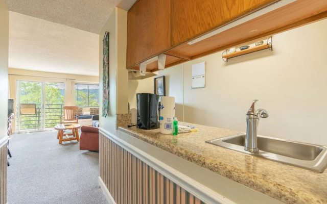 Gatlinburg Summit 1206/Winter Special