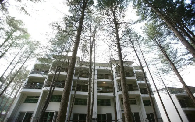 Pyeongchang Eastern Ville Pension