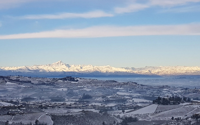 Villa Bellavista Alba