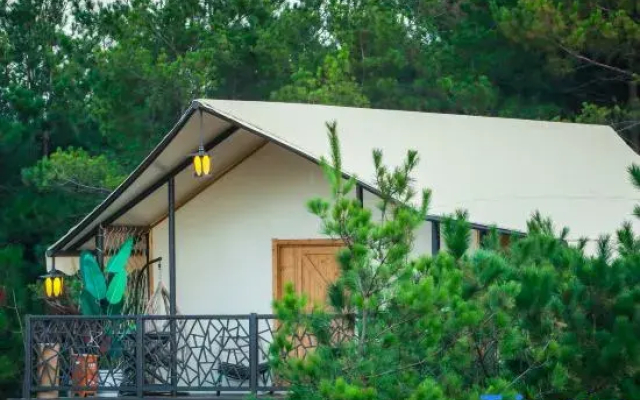 Squirrel Kingdom Forest Homestay