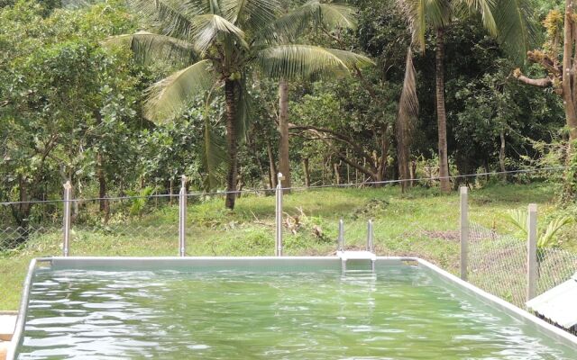 Jungle Nest Homestay