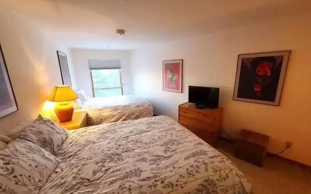 Northwoods Condo Private Ski-In Ski-Out Access to Vail Mountain by RedAwning