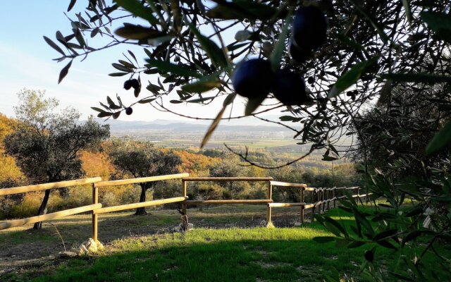 Agriturismo Calcinaia sul lago