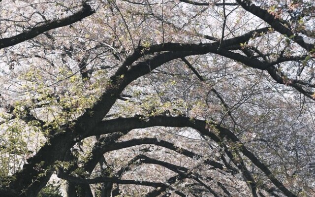 ZAITO Tokyo Oshiage Economy Inn