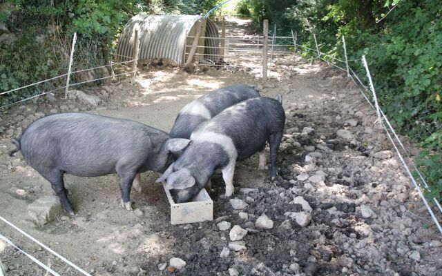 Trenona Farm Holidays