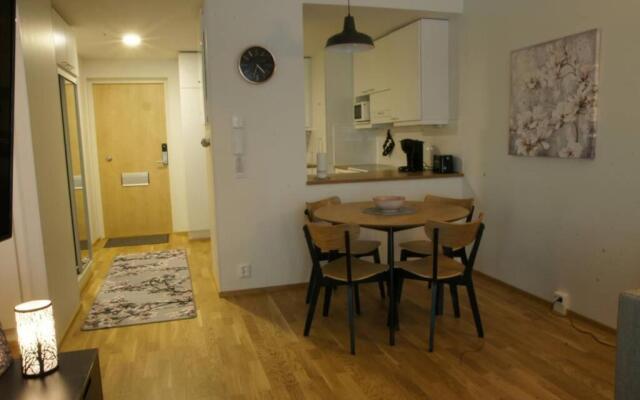 Keskustan kaksio 45 m2 autopaikalla, Rautatienkatu 19, 9 krs
