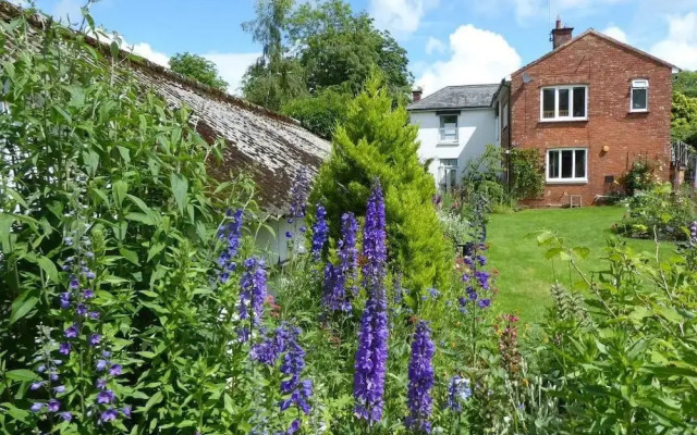 The White House B&B