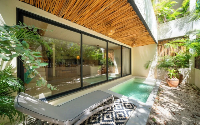 Cozy Apartment with Jungle View in Tulum