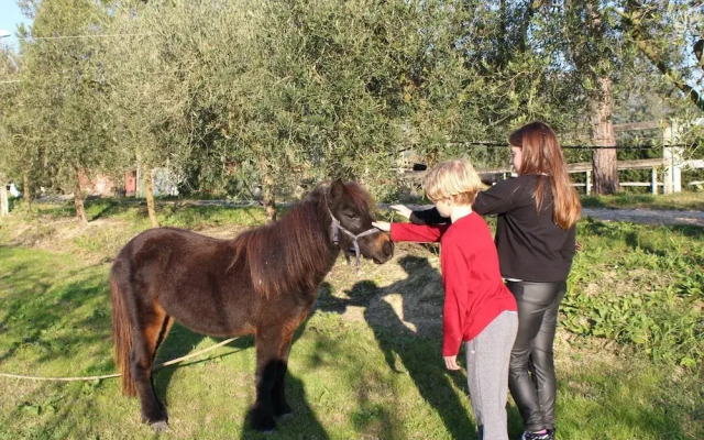 Agriturismo Pony Ranch - 4