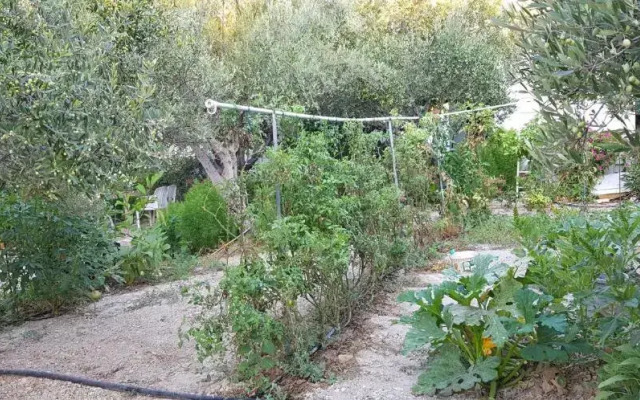 Spiti tou Papa sto Vouno