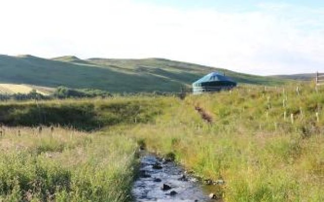 Ettrick Valley Yurts