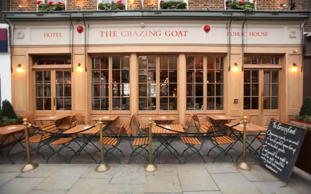 The Grazing Goat