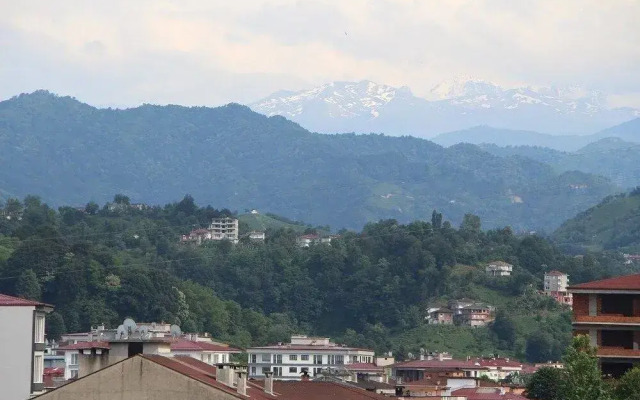 Hotel Minerva Pazar