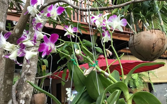 The Eight Ratvithi House