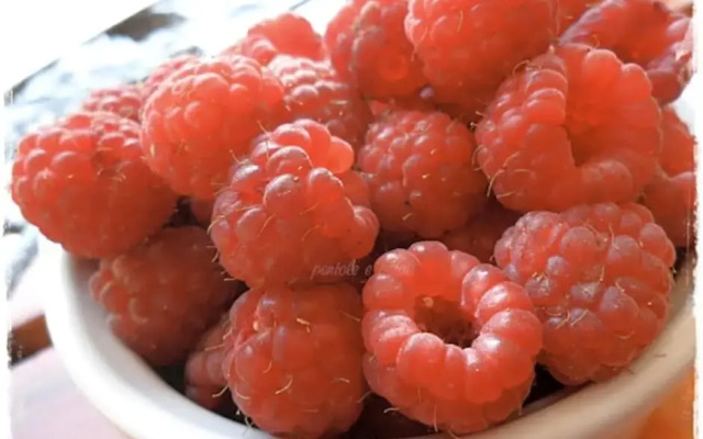 Bed Breakfast Ambrosia