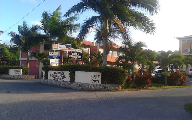 Sea Shell Palms