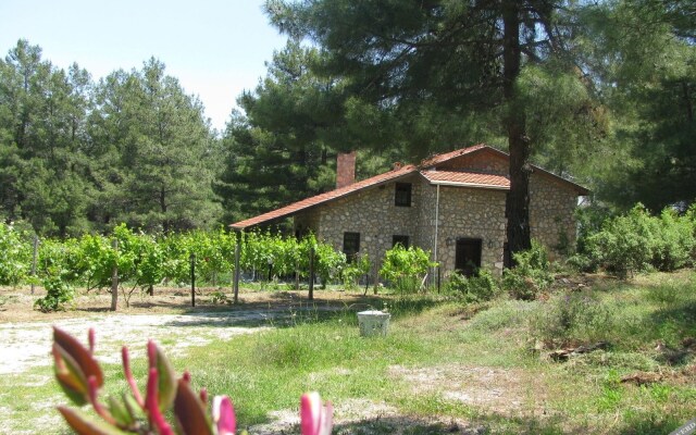 Dikencik Cottages