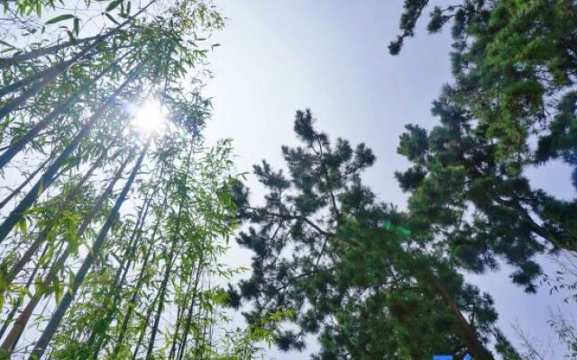 Qingdao Qigu Abalone Island No.85 Homestay