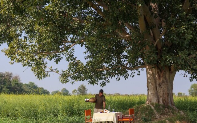 Sawai Shivir Ranthambore by TUTC