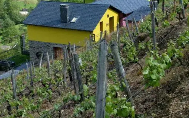 La Cabana'l Cachicán - Verdejo