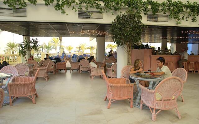 Moon Dreams Portomagno