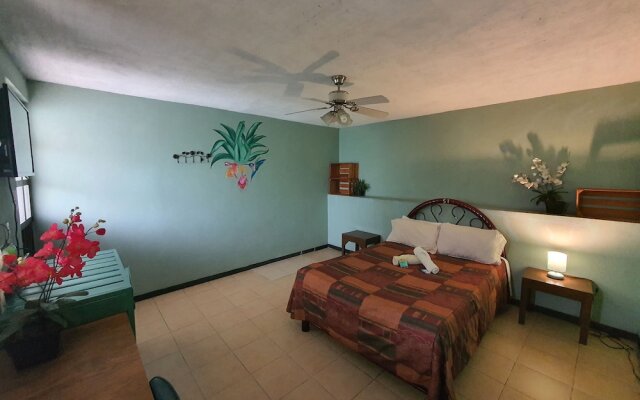 Hierba de Conejo - Hostel