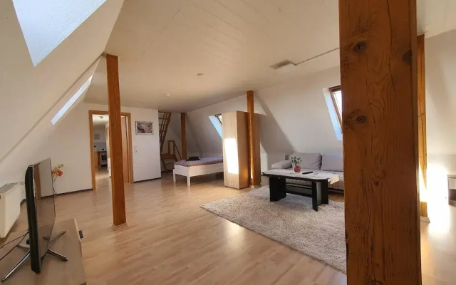 Apartment Near Jadeweserport and Centre