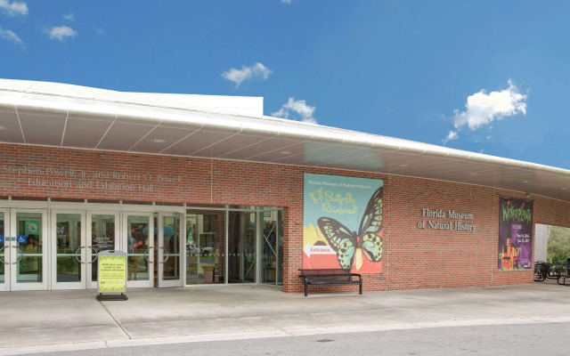 Super 8 by Wyndham Gainesville I-75 Hospital University Area