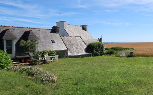 Les Hortensias (PZV107)