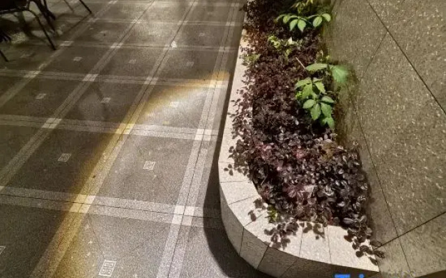 yungu