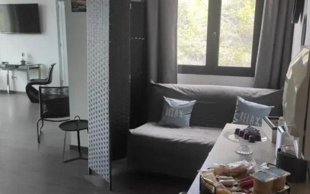 grand studio terrasse de standing vue mer et village