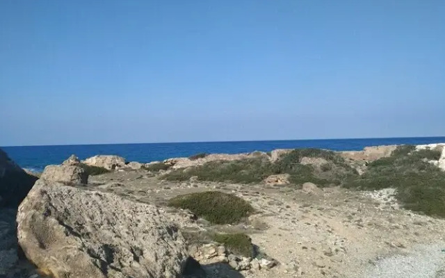 Ardıc Agacı Tatil Köyü