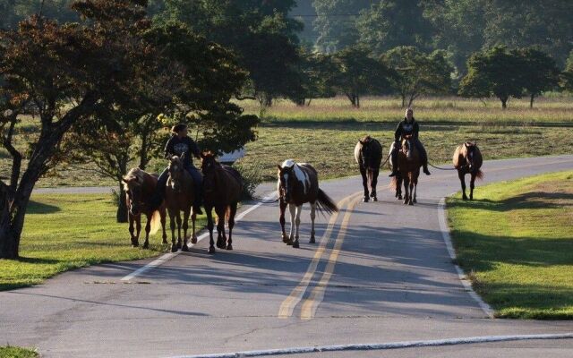 Pisgah View Ranch