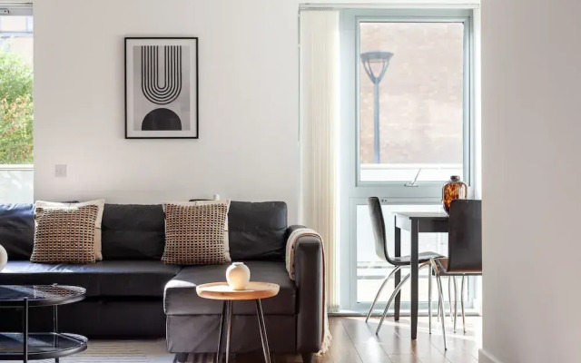 The Prospect Park Collection