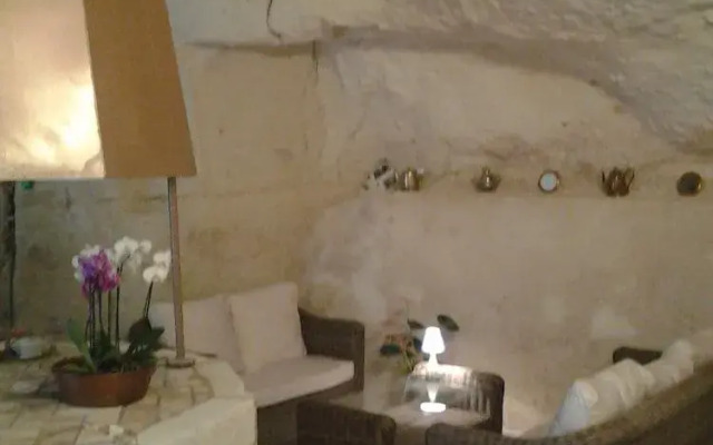 Manoir des Roches 41