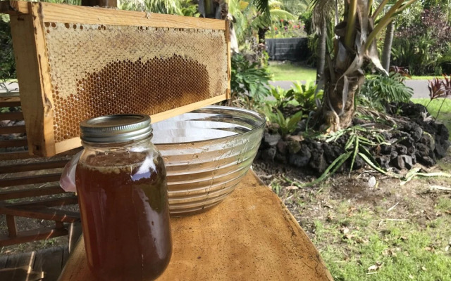 Sweet Spot Stay - Tikis and Treetops