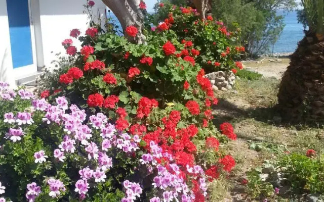 Blue Paradiso