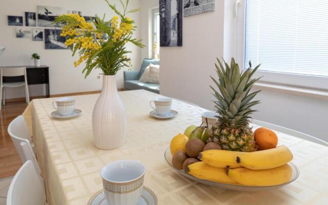 Apartment Nik - Cosy and Stylish