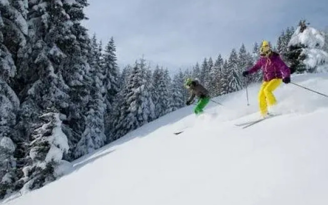Caprice Des Neiges