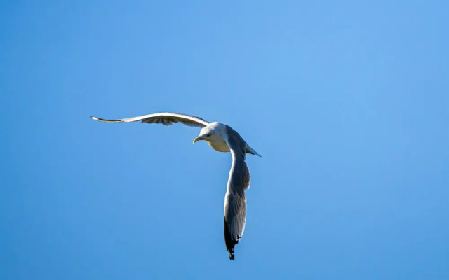 Sonnenhof Damnatz -Hotel garni-