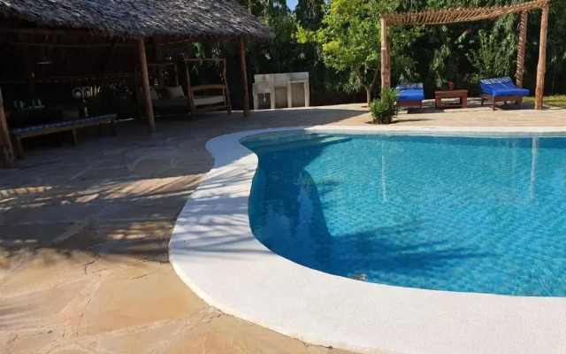 The Swimming Ostrich