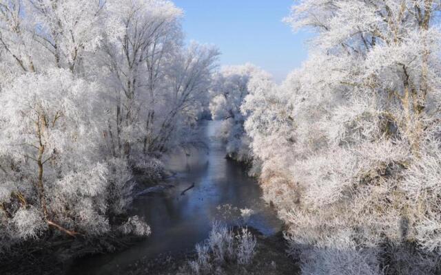 Gîte Saint-Pourçain-sur-Sioule, 2 pièces, 2 personnes - FR-1-489-30