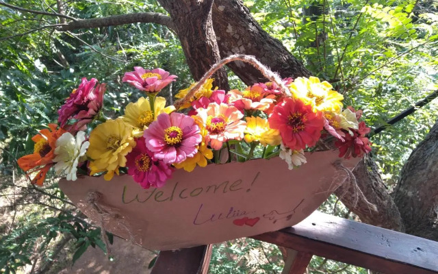 Dambulla Tree House