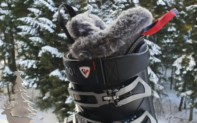 Pinewood ANG luxurious apartment A43, Borovets Gardens