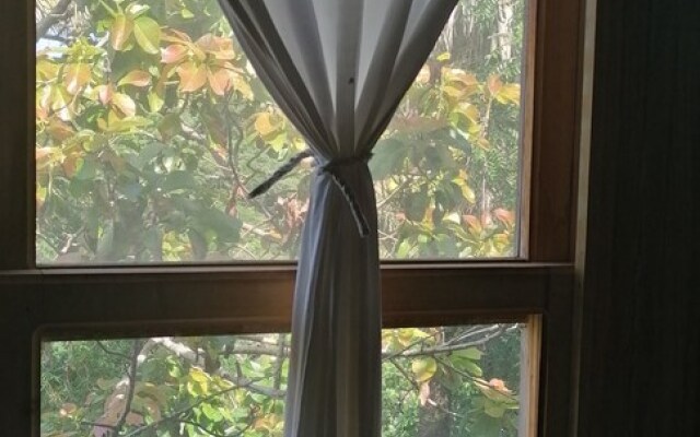 Roatan Bed & Breakfast Apartments