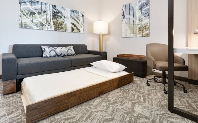 SpringHill Suites Dallas Mansfield