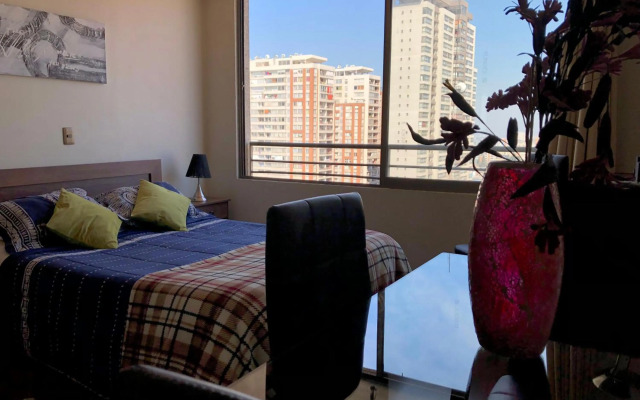 Metro U de Chile Santiago Centro