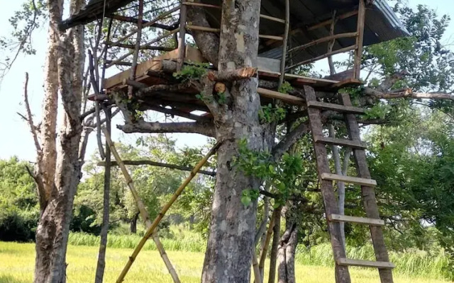 The Nature Park Villa