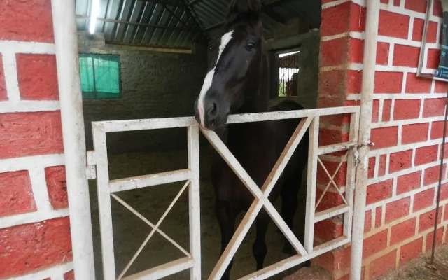 Hotel Sawai Mansing Hill Resort